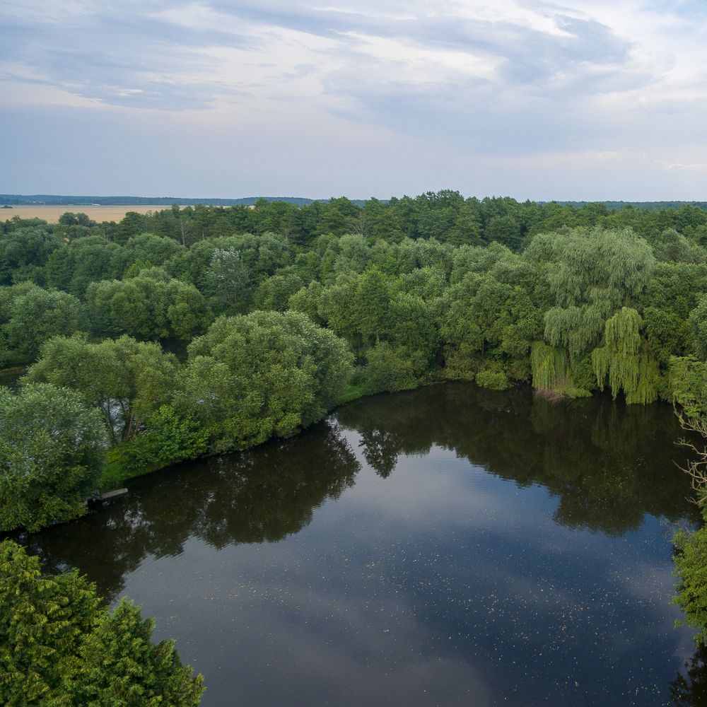 рыбалка в Петровском Роднике